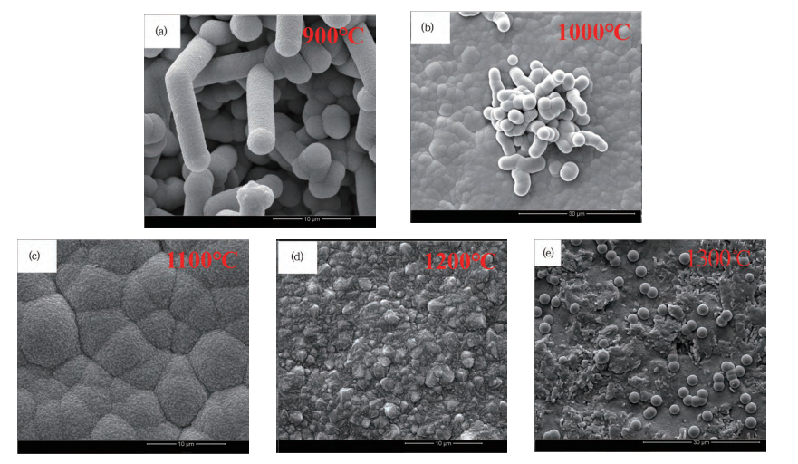 Ang Epekto ng Temperatura sa CVD-SiC Coatings