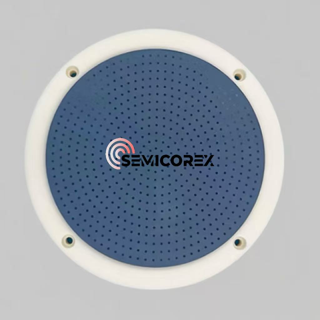 Ceramic electrostatic chucks