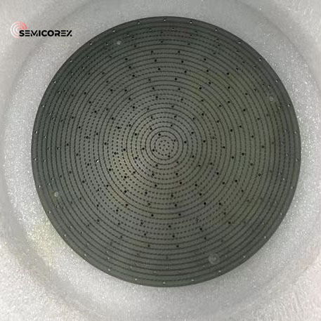 CVD SiC Coated Graphite Shower Head