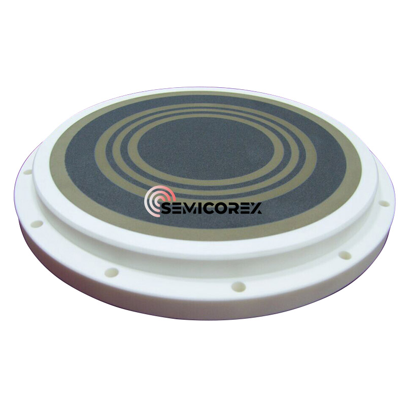 Porous alumina chuck