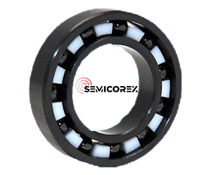 SiC Bearing