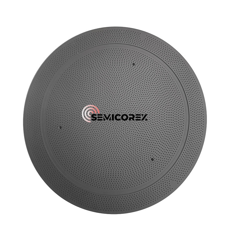 SIC Coated Wafer Sinistors