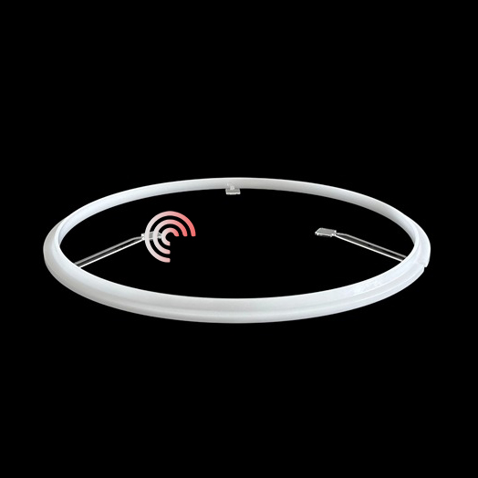 Ring ng suporta